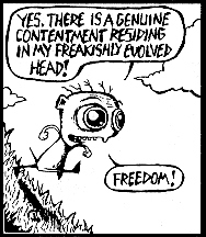 freedom.jpg