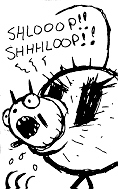shloop.jpg